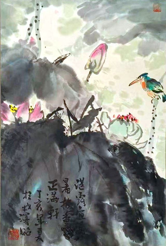 Kingfisher over lotus flowers and dark rocks