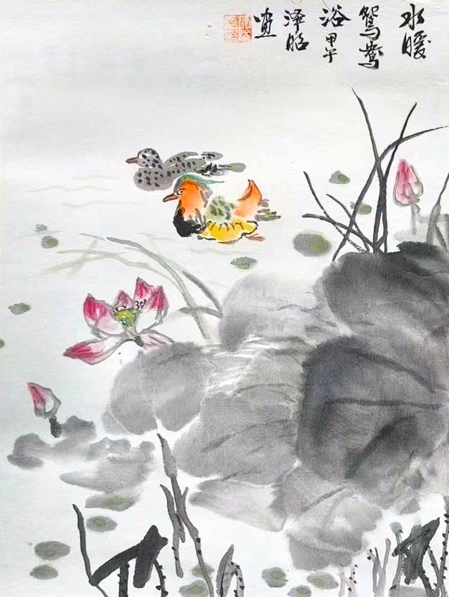 Mandarin duck swimming near pink lotus flowers