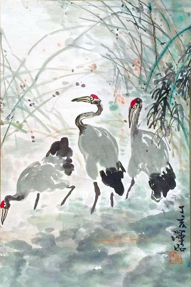 Three cranes among reeds