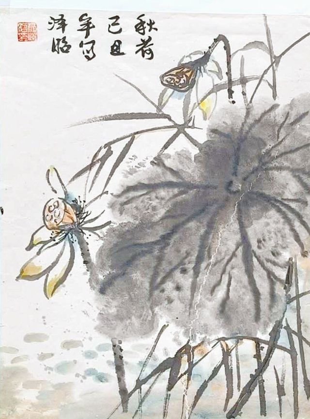 Lotus leaf and seed pod in ink