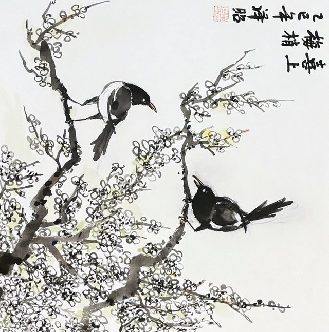 Magpies on a blossoming plum branch
